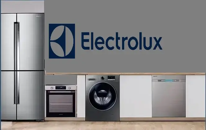 Bakırköy Electrolux servisi